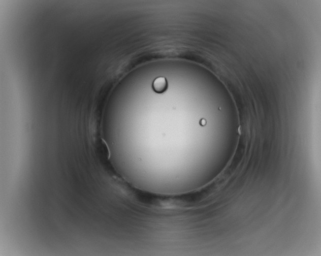 X0000115830268200911201511