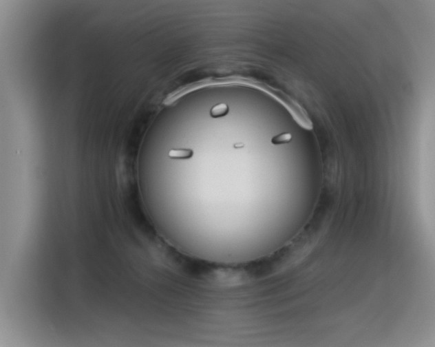 X0000115830272200911201511