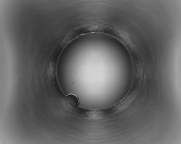 X0000115830273200911201511