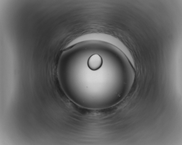 X0000115830276200911201511