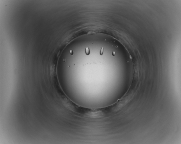 X0000115830278200911201511