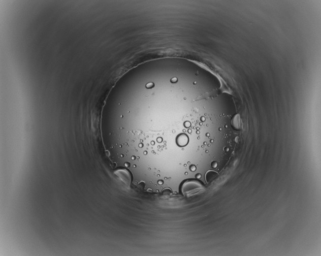 X0000115830281200911201511