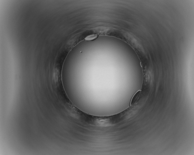 X0000115830283200911201511