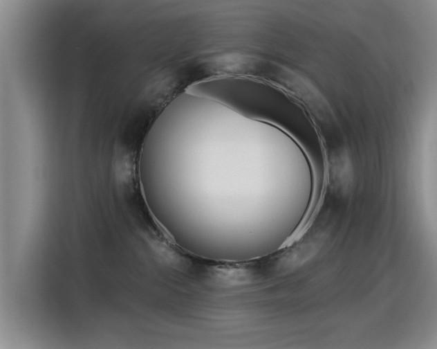 X0000115830284200911201511