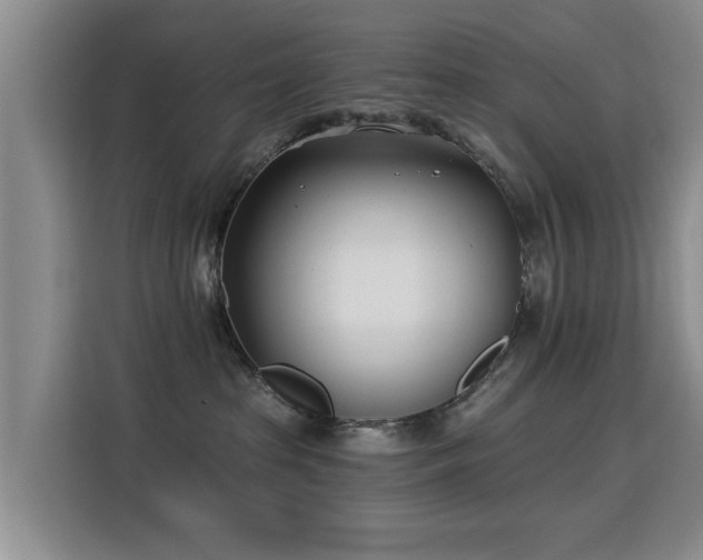 X0000115830285200911201511