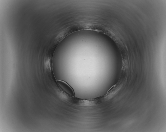 X0000115830286200911201511