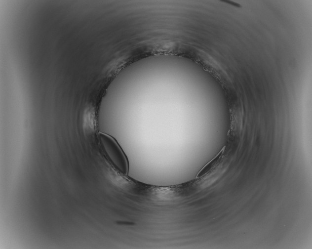 X0000115830287200911201511