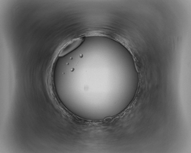 X0000115830289200911201511