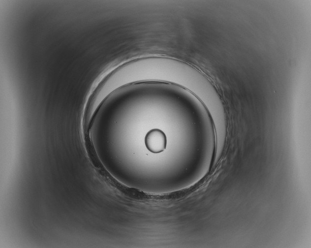 X0000115830292200911201511