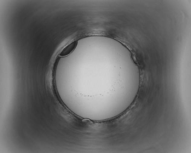 X0000115830293200911201511