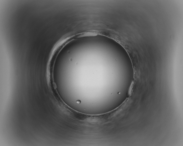 X0000115830294200911201511