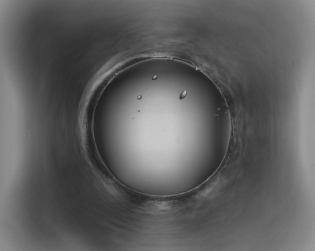 X0000115830295200911201511