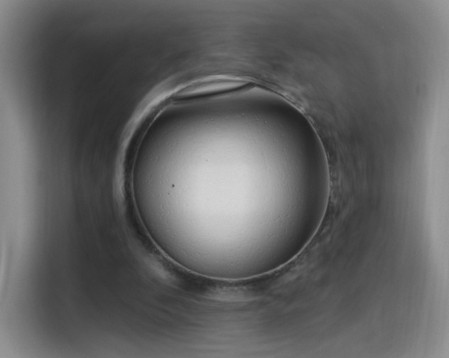 X0000115830296200911201511