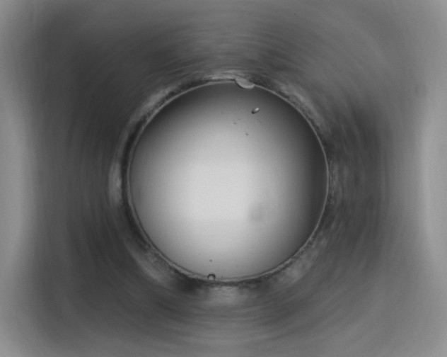 X0000115830298200911201511