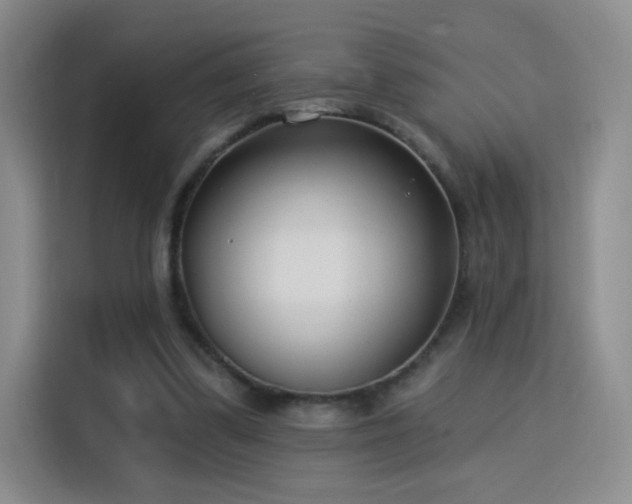 X0000115830299200911201511