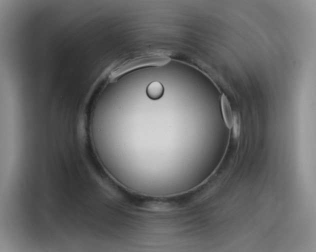 X0000115830300200911201511