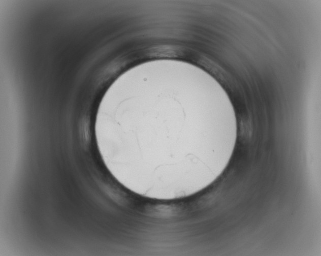 X0000115830302200911201510