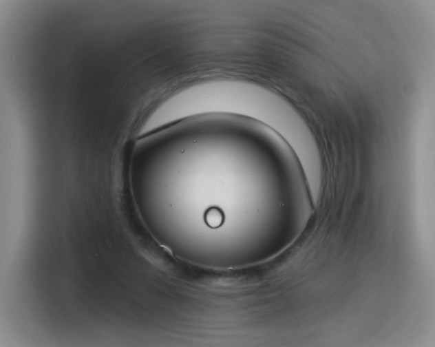 X0000115830303200911201510