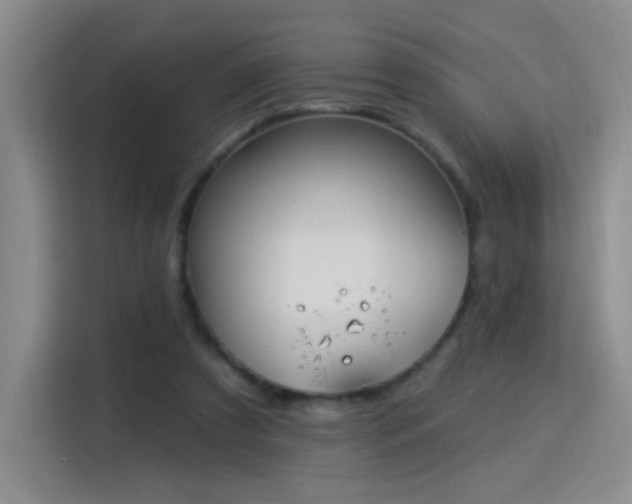 X0000115830305200911201510