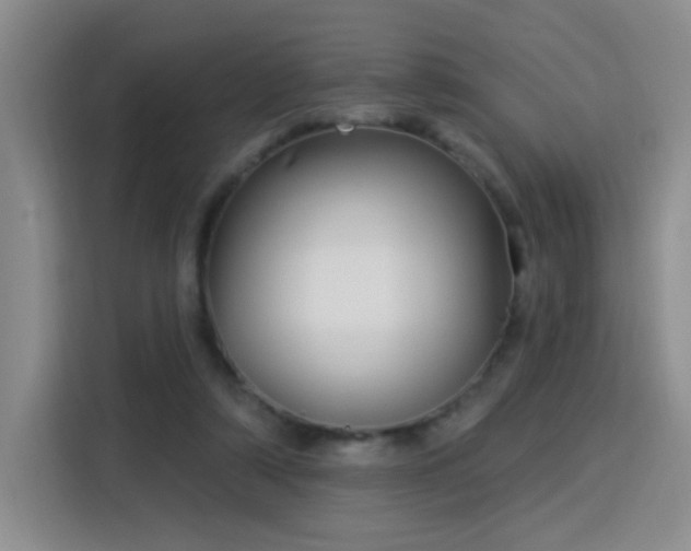 X0000115830306200911201510