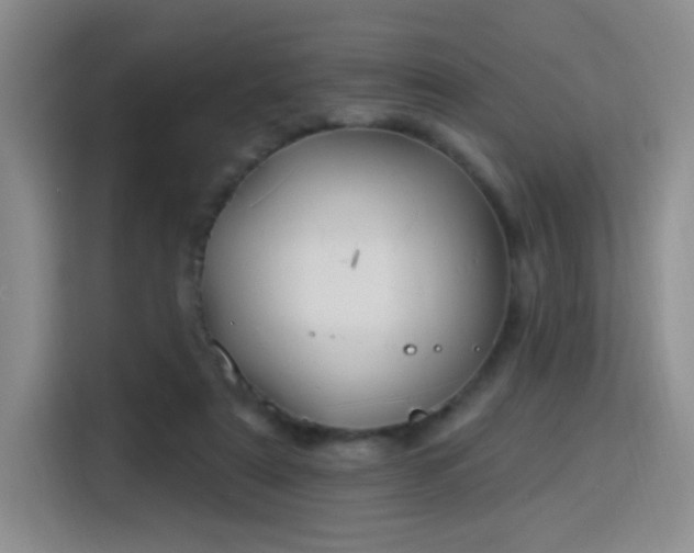 X0000115830307200911201510