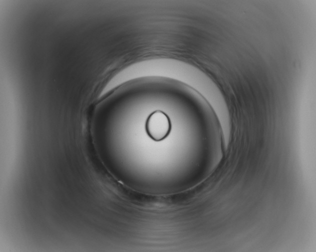 X0000115830308200911201510