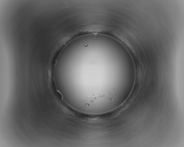 X0000115830309200911201510