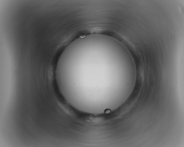 X0000115830311200911201510