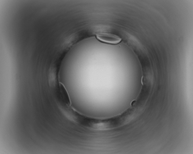 X0000115830312200911201510