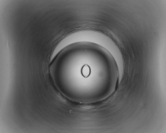 X0000115830313200911201510