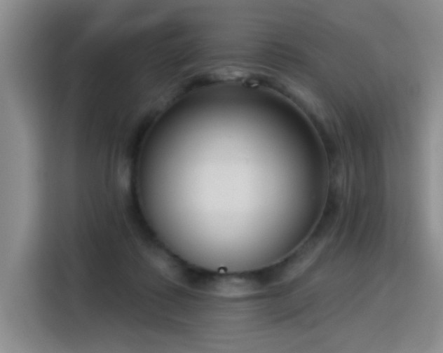 X0000115830315200911201510