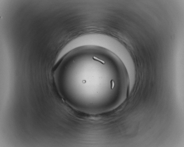 X0000115830317200911201510