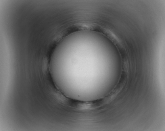 X0000115830318200911201510