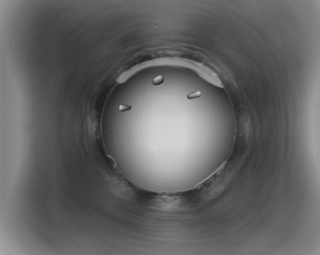 X0000115830328200911201510