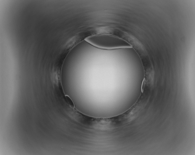 X0000115830329200911201510