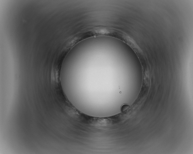 X0000115830330200911201510