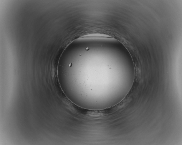 X0000115830331200911201510