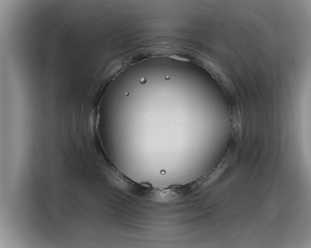 X0000115830333200911201510