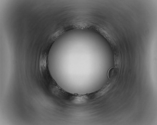 X0000115830334200911201510