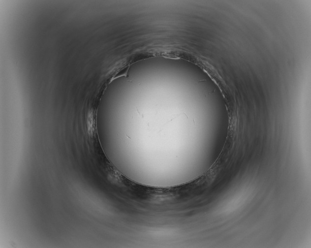 X0000115830335200911201510