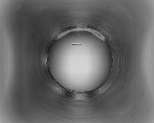 X0000115830336200911201510