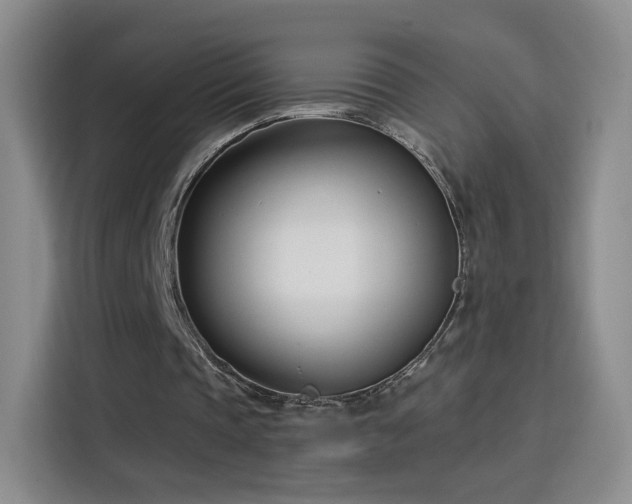 X0000115830337200911201509