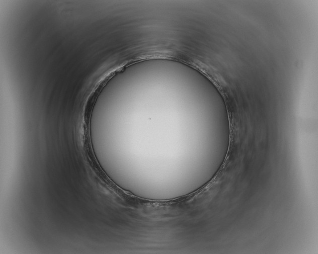 X0000115830338200911201509