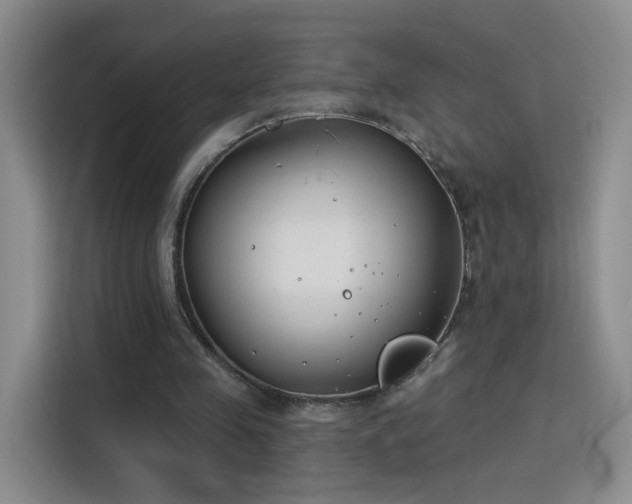 X0000115830341200911201509