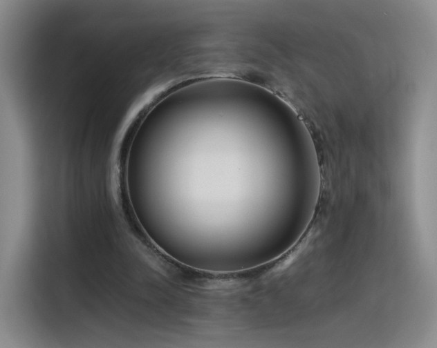 X0000115830342200911201509