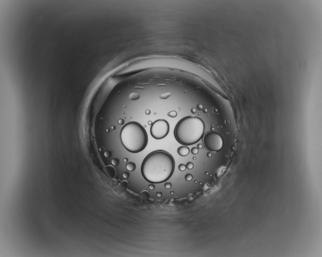 X0000115830343200911201510