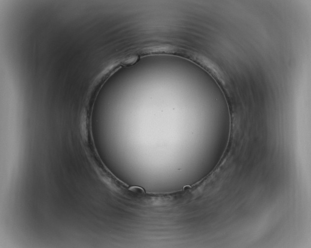 X0000115830345200911201510