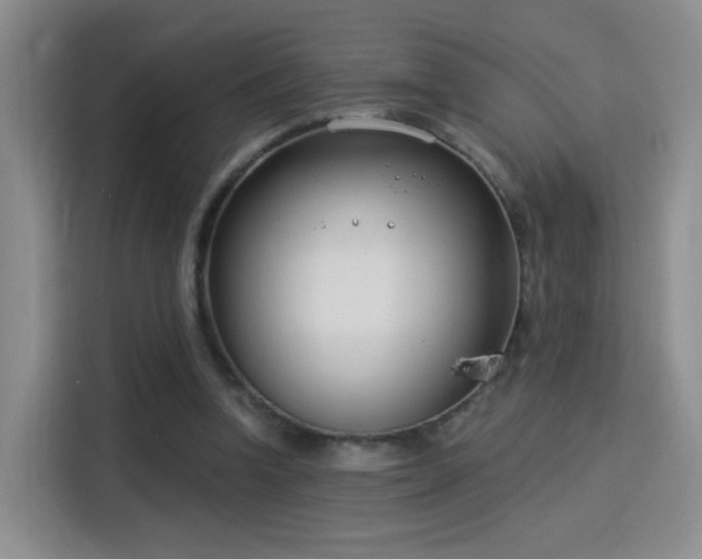 X0000115830346200911201510