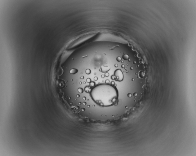 X0000115830347200911201510