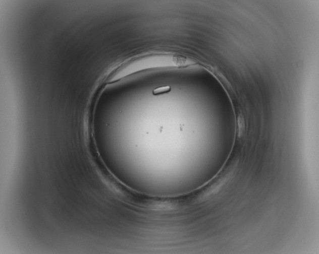 X0000115830349200911201510